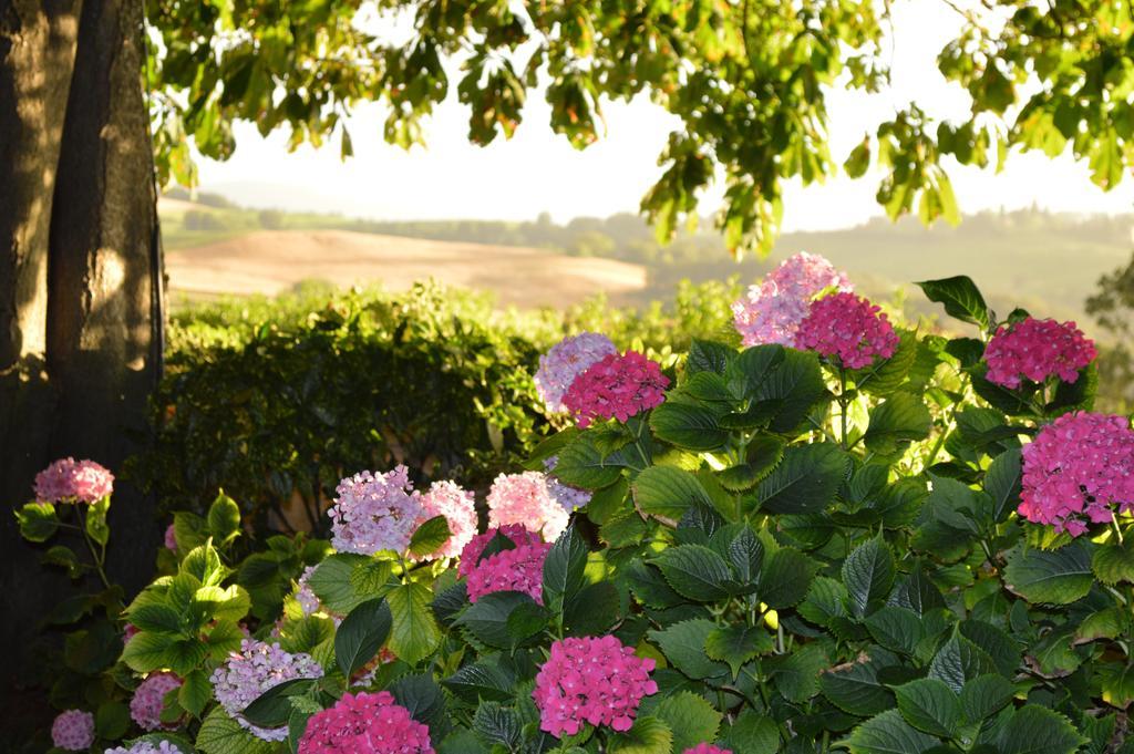 Agriturismo Cavazzone Regnano  Экстерьер фото